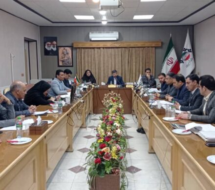 برگزاری سلسله نشست‌های بررسی بودجه ۱۴۰۲ شهرداری سیرجان در شورای شهر